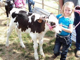 Bucket Calf Participant