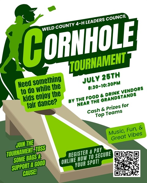 Promotional Flyer