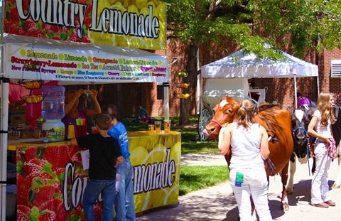 People getting refreshments at the Lemonade Stand